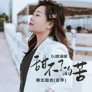 吉萍 - 甜不了的苦(DJ默涵版伴奏)