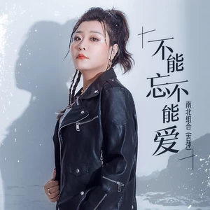吉萍 - 不能忘不能爱(伴奏)