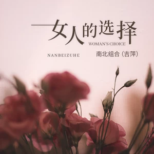 吉萍 - 女人的选择