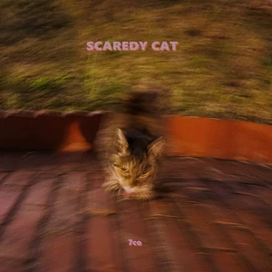 SCAREDY CAT
