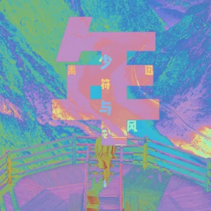 符禹迅 - 少年与风