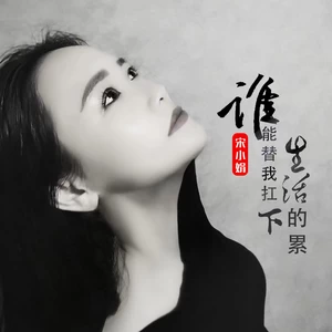 宋小娟 - 谁能替我扛下生活的累