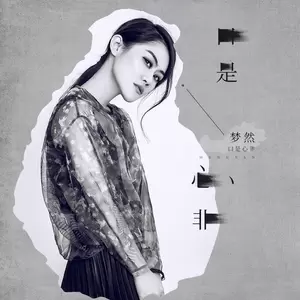 梦然 - 口是心非(DJ沈念版)