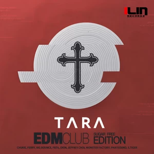T-ara - Sugar Free(Big Bounce Remix)