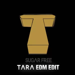 T-ara - 지난 달력