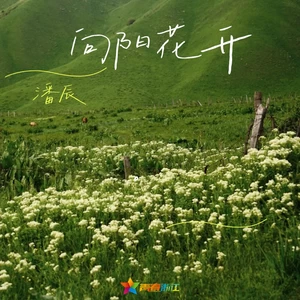 潘辰 - 向阳花开