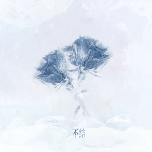 张鑫/邹沛沛 - 不结