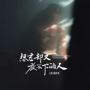 灵魂KK - 想忘却又放不下的人