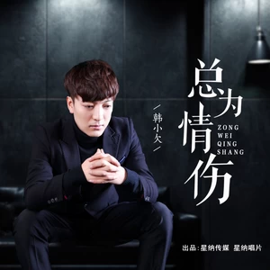总为情伤（深情版）