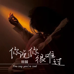 田园 - 你说你很难过