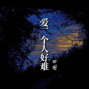 田园 - 爱一个人好难