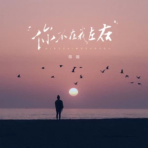 田园 - 你不在我左右（心却被你左右）