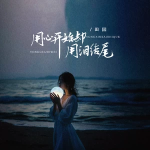 田园 - 用心开始却用泪结尾(DJ豪大大版伴奏)