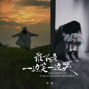 田园 - 谁不是一边笑一边哭(DJ彭锐版伴奏)