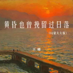 黄昏也曾挽留过日落(DJ豪大大版)