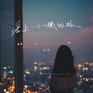 田园 - 爱上一个很忙的人(DJ长梦降调版)