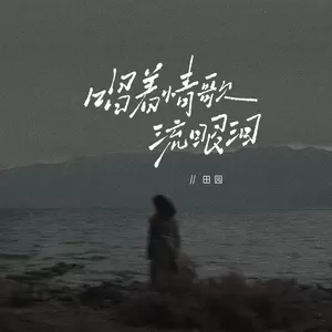 田园 - 唱着情歌流眼泪(伴奏)