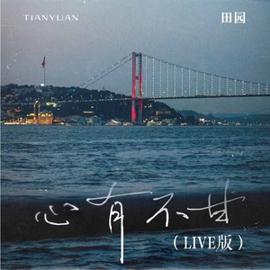 田园 - 心有不甘(Live版伴奏)
