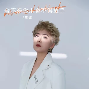 王娜 - 舍不得你走舍不得放手