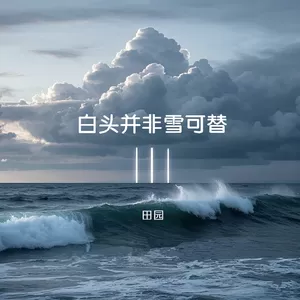 田园 - 白头并非雪可替(伴奏)