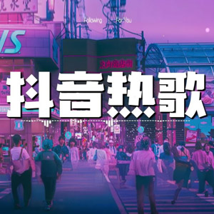 【歌单推荐】精选200首抖音烟嗓网红伤感车载大碟歌曲合集听哭多少痴情人[9.1GB]