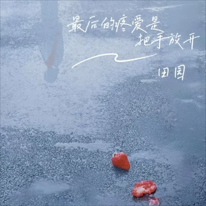 田园 - 最后的疼爱是把手放开(DJ铁柱版伴奏)
