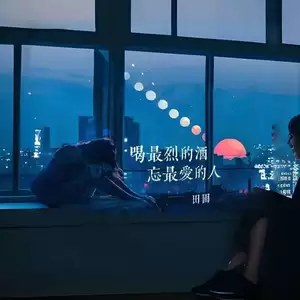 田园 - 喝最烈的酒忘最爱的人(DJ豪大大版)