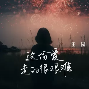 田园 - 这份爱走的很艰难(伴奏)