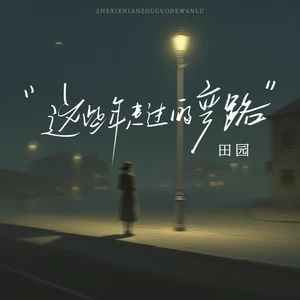 田园 - 这些年走过的弯路(伴奏)
