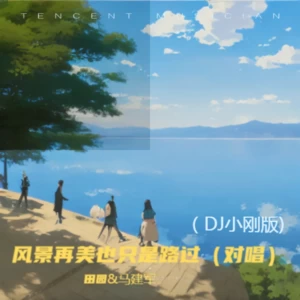 田园/马建军 - 风景再美也只是路过（对唱DJ小刚版）