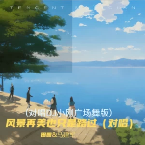 田园/马建军 - 风景再美也只是路过(对唱DJ小刚广场舞版)(伴奏)