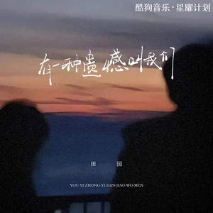 田园 - 有一种遗憾叫我们(伴奏)