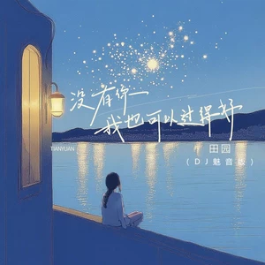 田园 - 没有你我也可以过得好(DJ魅音版)