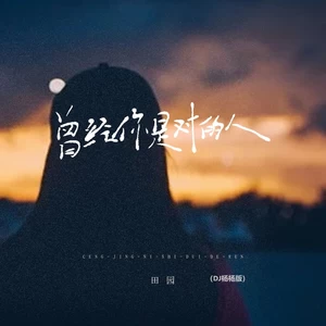 田园 - 曾经你是对的人(DJ杨杨版)