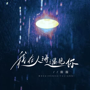 田园 - 我在人海遇见你(深情版)