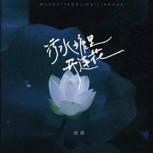 污水塘里开莲花