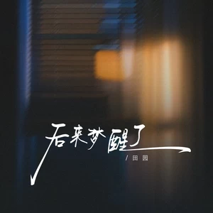 后来梦醒了(伴奏)
