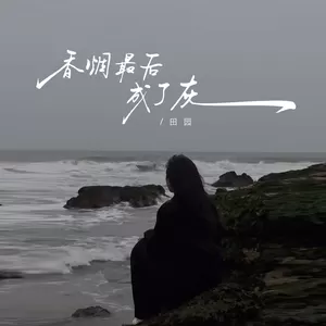 香烟最后成了灰(DJ默涵版伴奏)