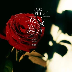 情花寂寞红(DJ长梦版)