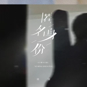 田园 - 匿名身份(DJ豪大大版)