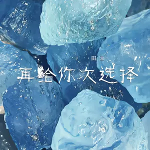 田园 - 再给你次选择