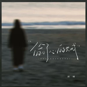田园 - 偷了心的贼
