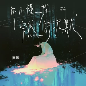田园 - 你不懂我突然的沉默(DJ九零版伴奏)