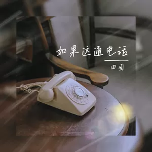 田园 - 如果这通电话(伴奏)