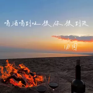 喝酒喝到吐想你想到哭(DJ版)