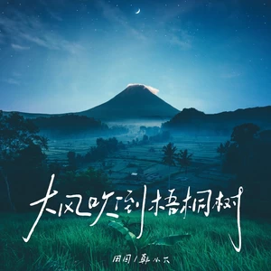 田园/韩小欠 - 大风吹倒梧桐树