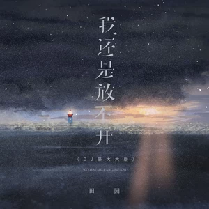 我还是放不开(DJ豪大大版)
