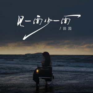 见一面少一面(DJ九零版)
