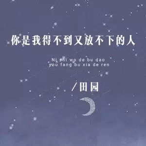 你是我得不到又放不下的人(伴奏)