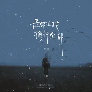 是你让我输掉全部(DJ九零版伴奏)